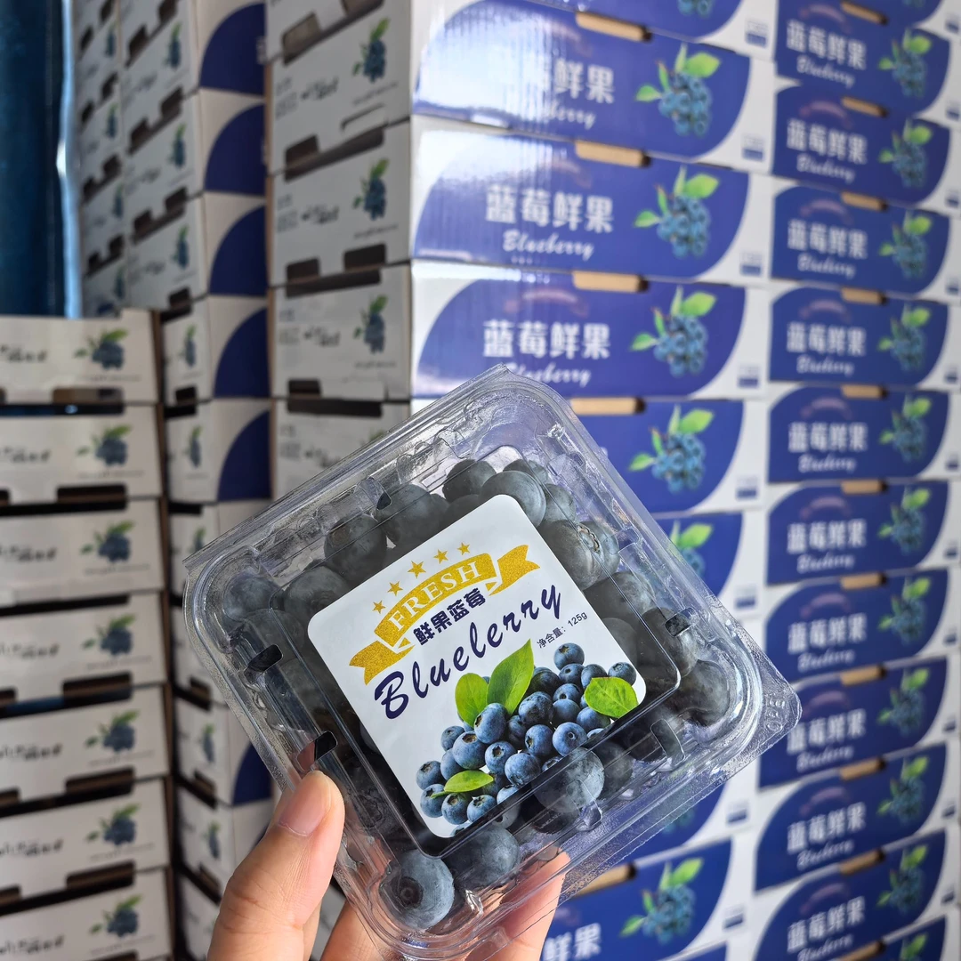 京东速递 游子山富硒蓝莓产地直发