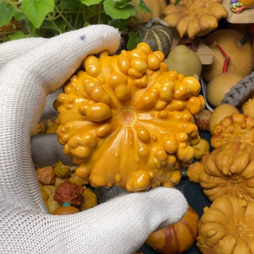 J**E特价葫芦不退不换