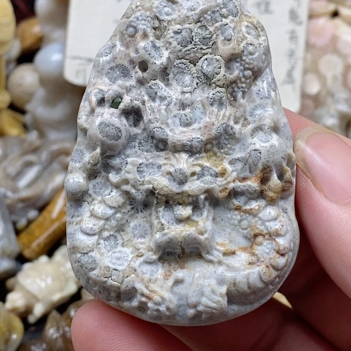 颈饰未镶嵌硅化珊瑚（珊瑚玉）有瑕