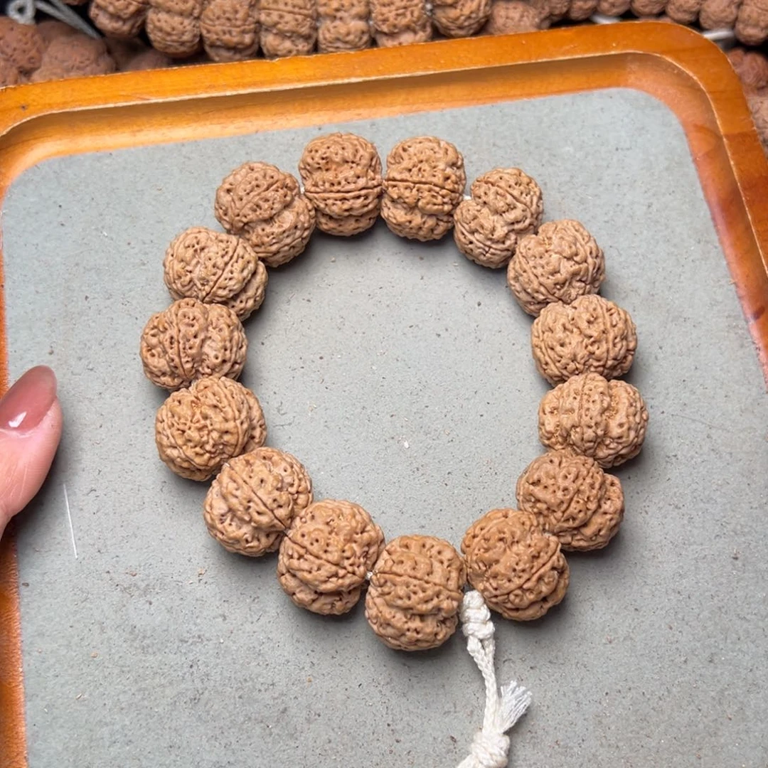 菩提13号金刚菩提深沟双龙24超头