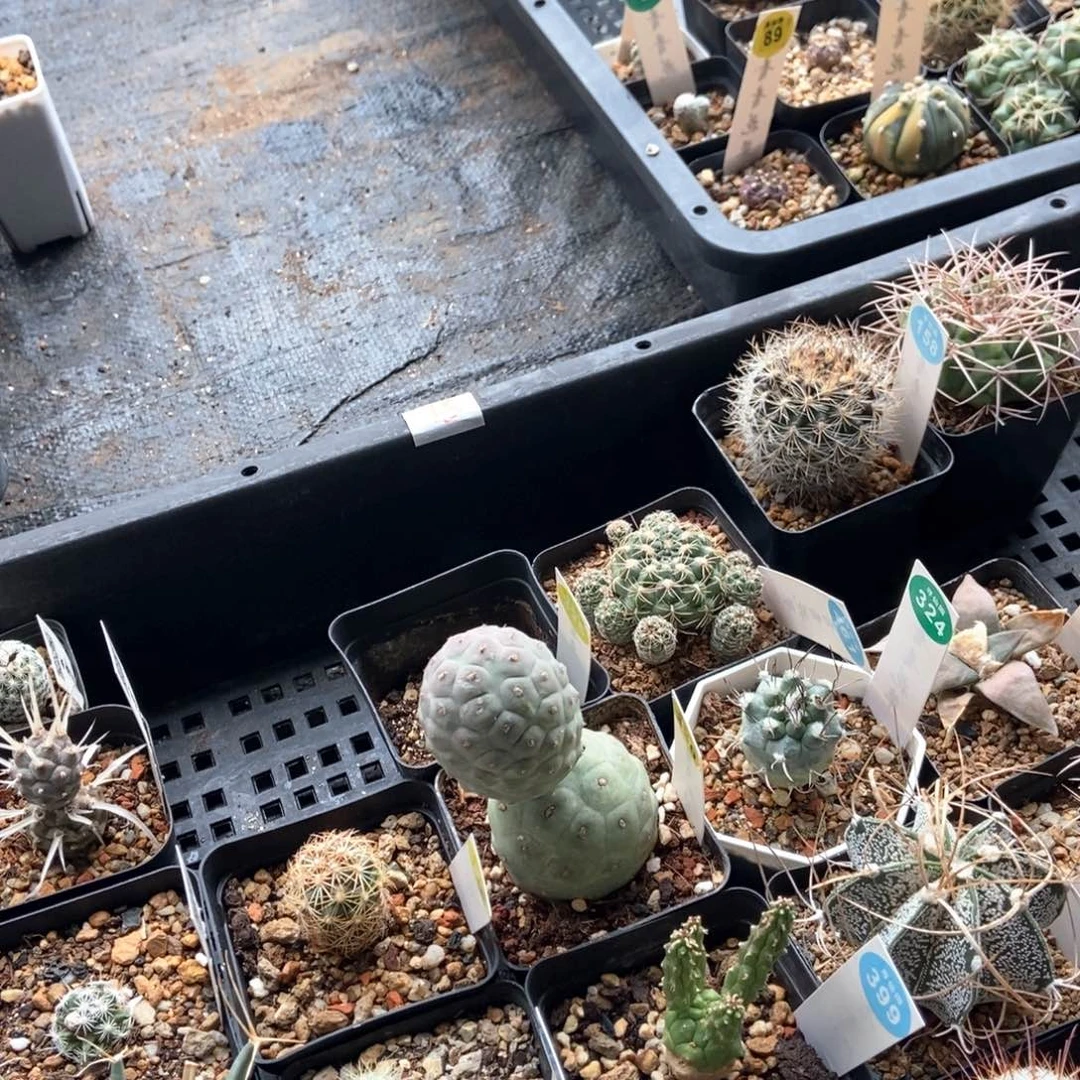 蛇专拍5687555660755