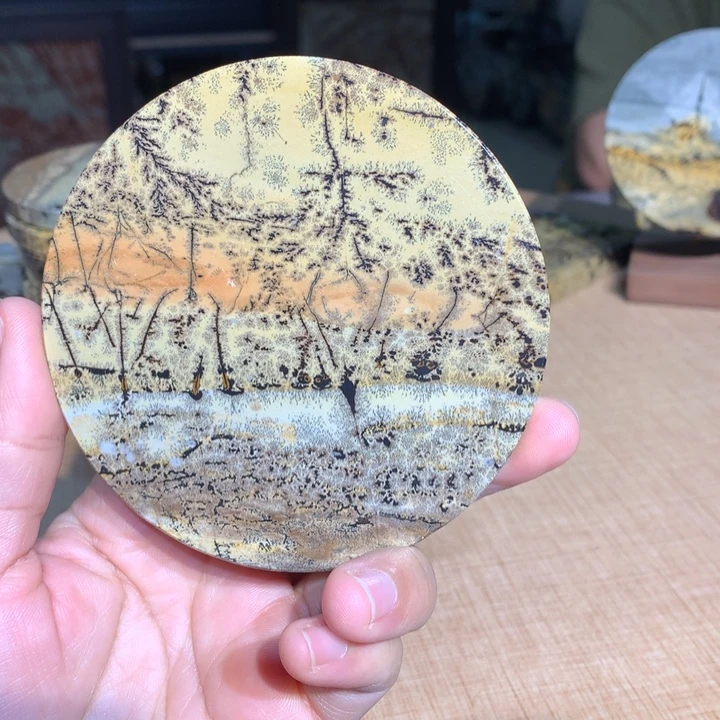 ，广西国画石摆件，收藏观赏