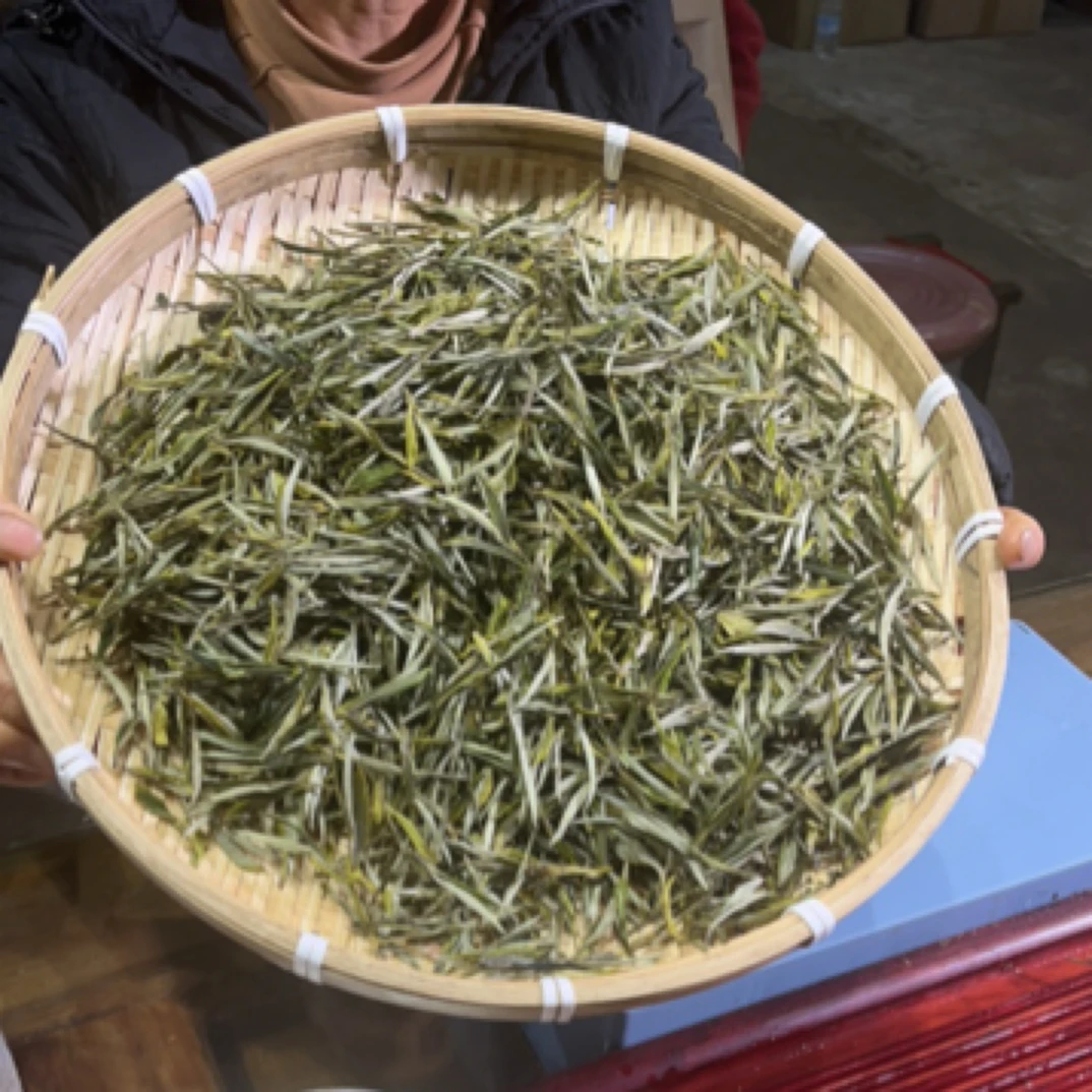 2025香针绿茶250克