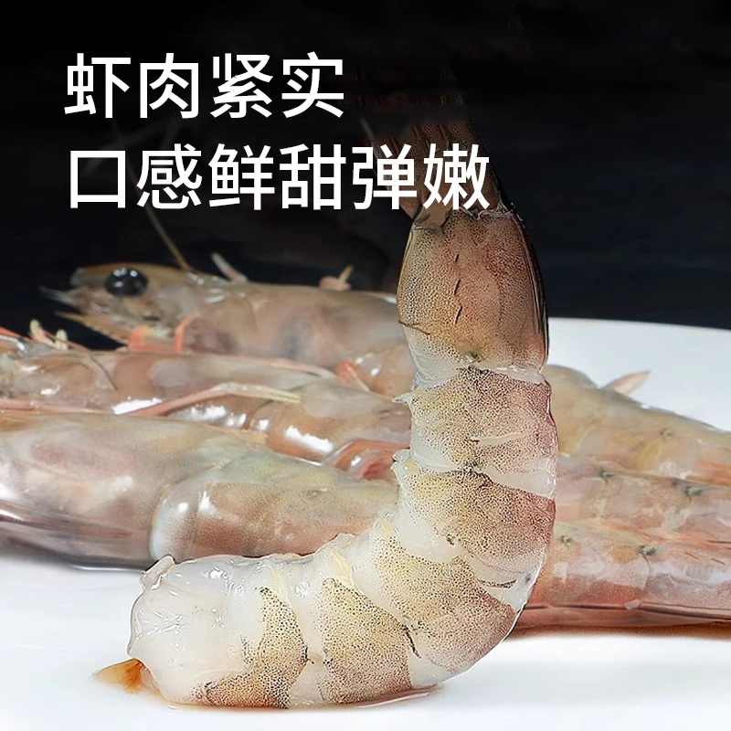 【野生残黄虾】 青岛沙子口港本地大虾14头左右  顺丰发货