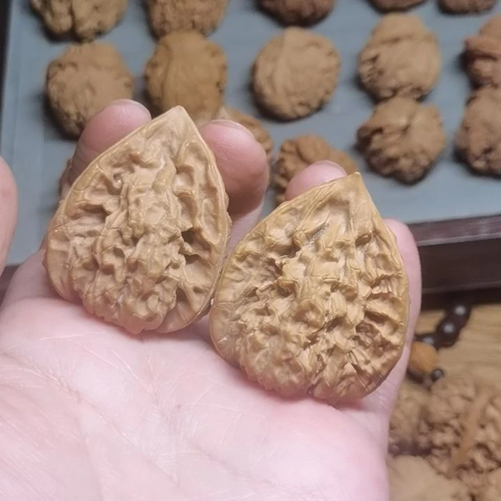 官帽佛肚88888888