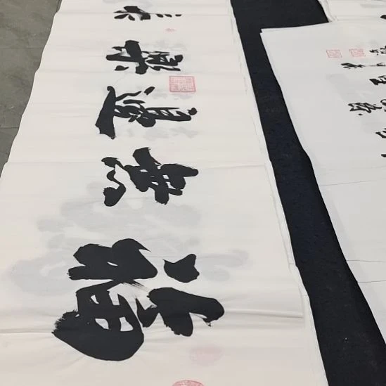 翰墨申国栋老师作品一副