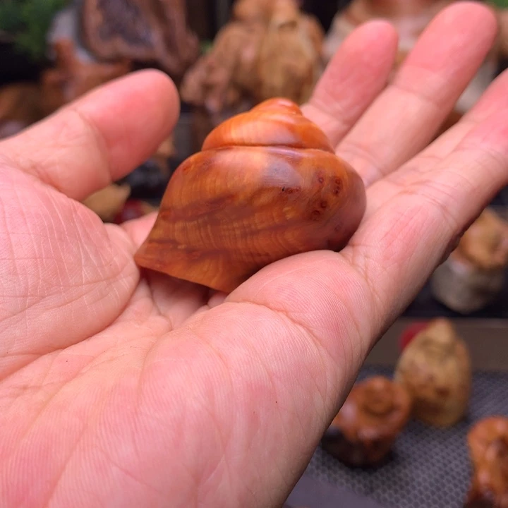 柏木（崖柏）粤*崖柏陈化