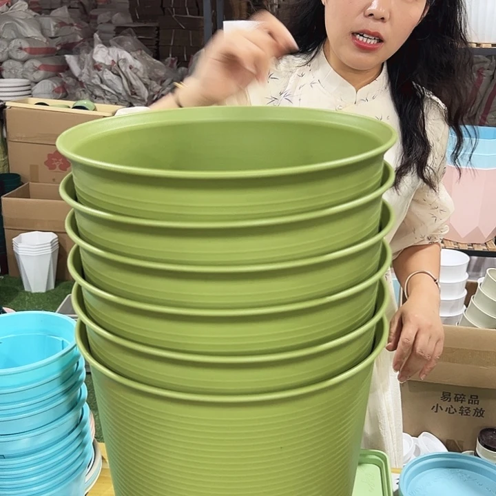 高陶口30高30果绿色6个无托
