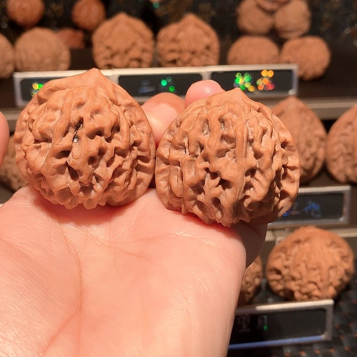 文玩核桃把件玄月41尺