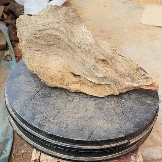 一***尚柏木崖柏崖柏崖柏