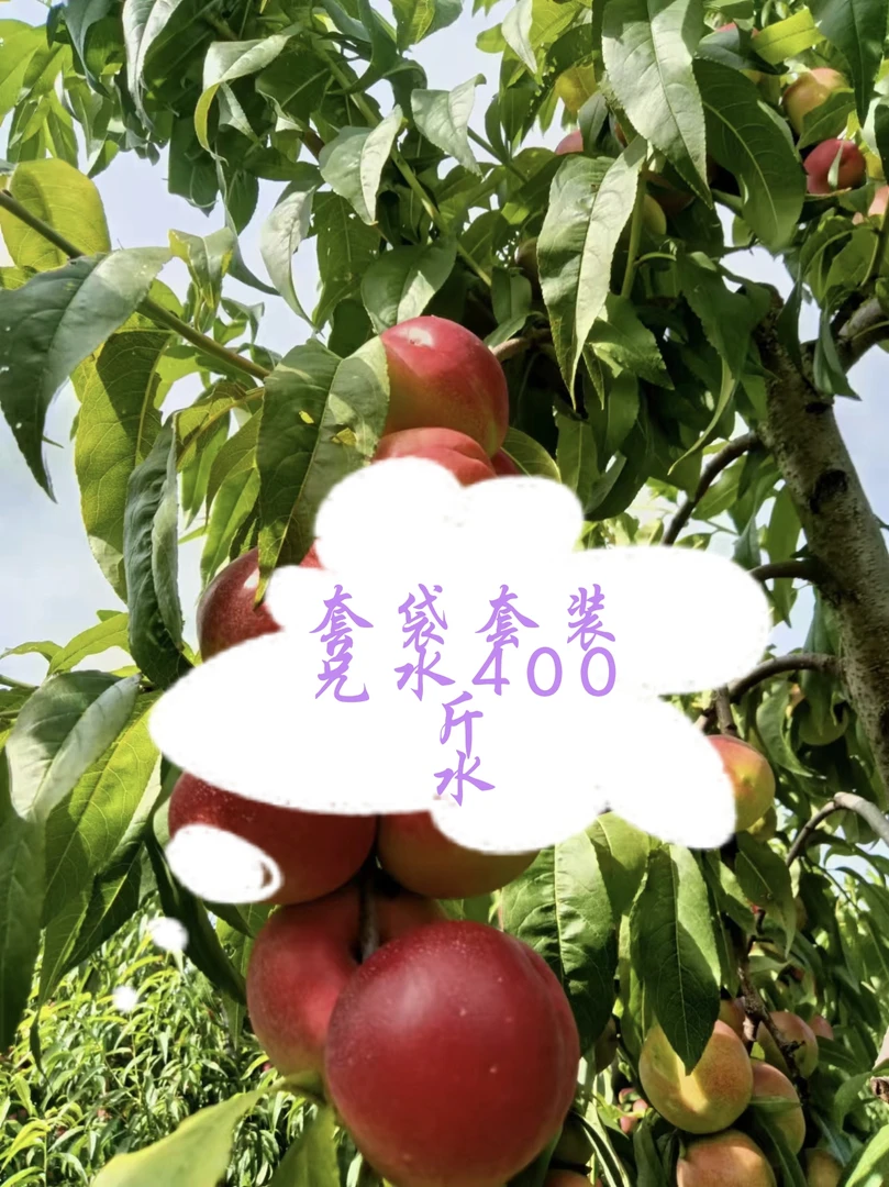 桃子套袋套装叶面肥，兑水400-500斤水