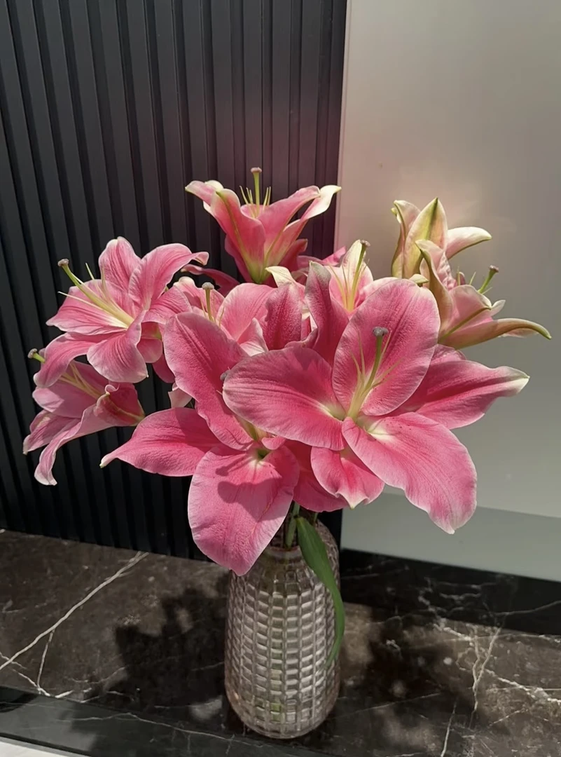 鲜花【葡噗花舍】多头护卫舰香水百合   3支   基地直发