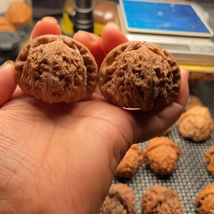 把件桃核球白边48肚45➕