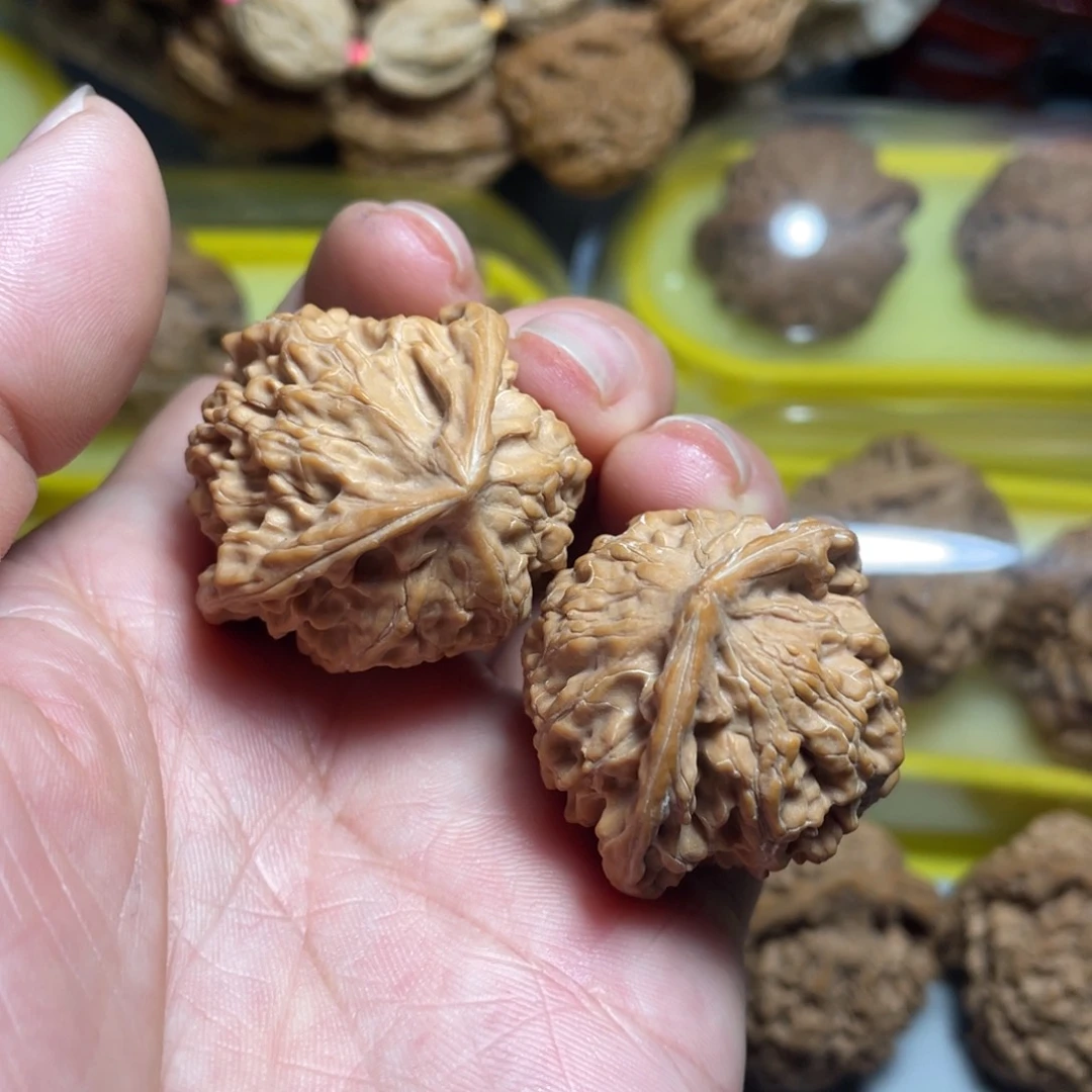 核桃手串/手链即*精品盘山蛇