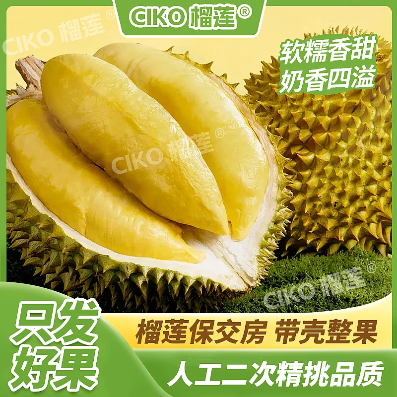 【琪琪精选QQ】 单果  顺丰包邮 金枕榴莲 软糯香甜  WSX