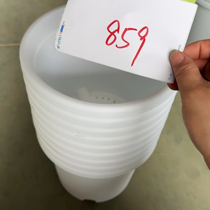 编号859瑕疵9个无托
