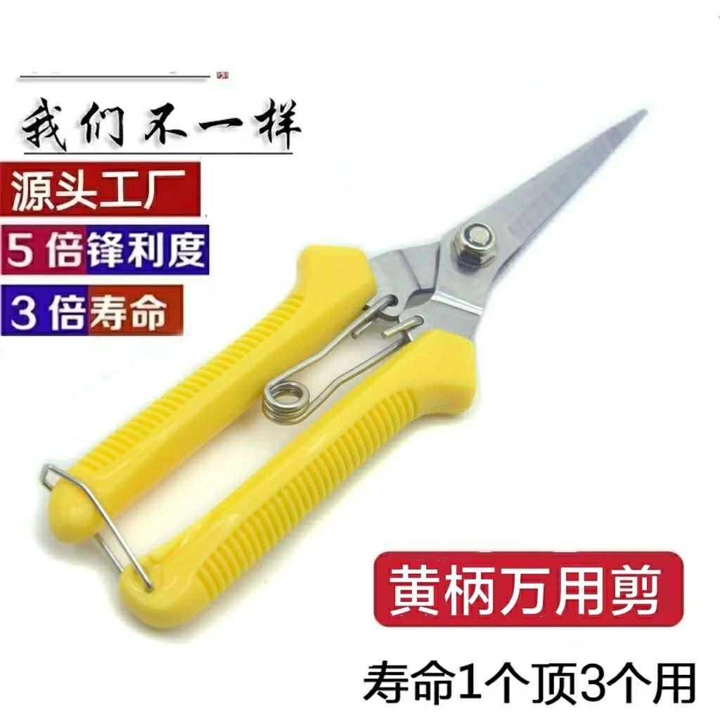 果树工业稀果剪稀花剪果柄剪刀