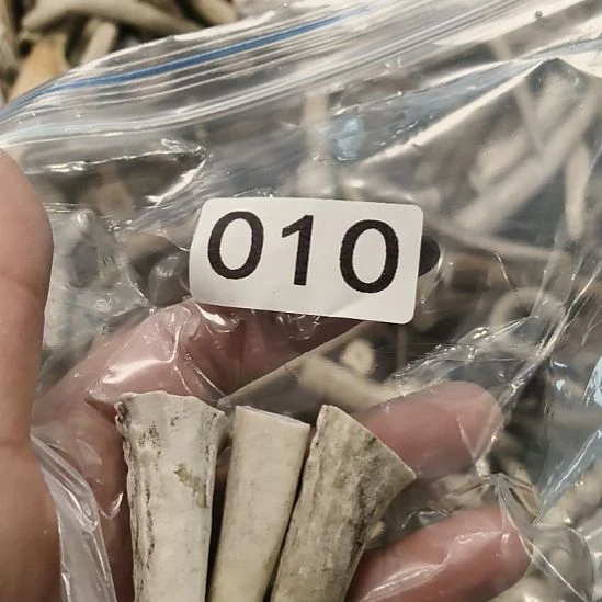 田***大鹿角鹿角鹿角鹿角鹿角