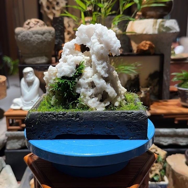 昆石石头草。。。。。。。