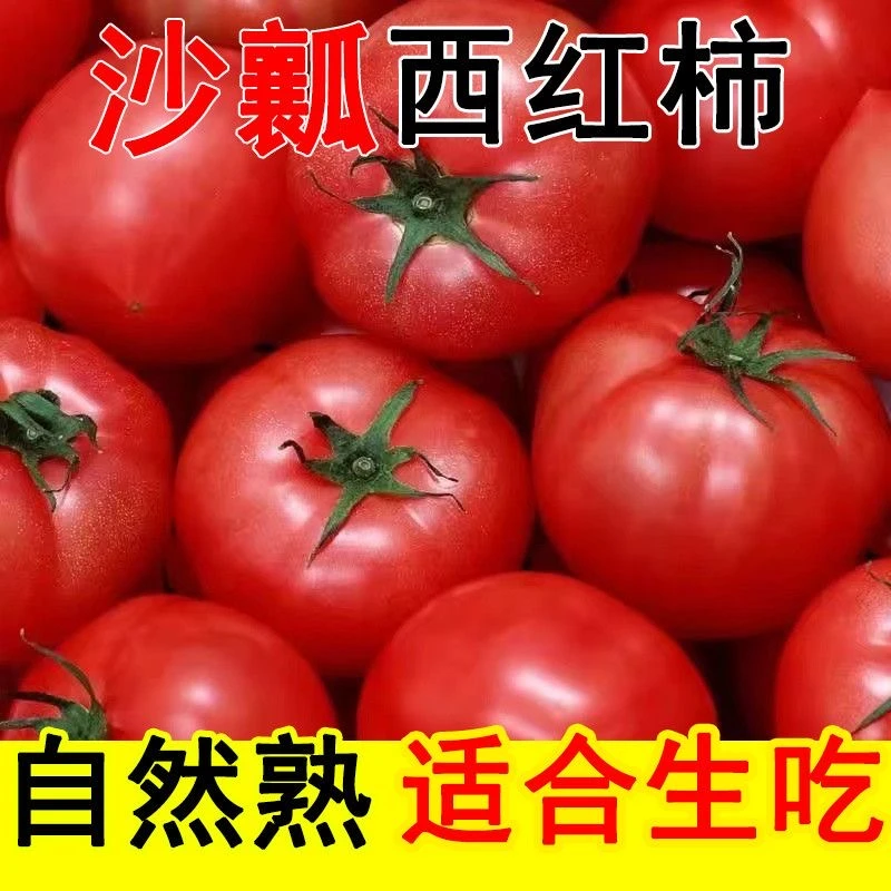 【产地直发】水果西红柿自然成熟沙瓤多汁新鲜采摘