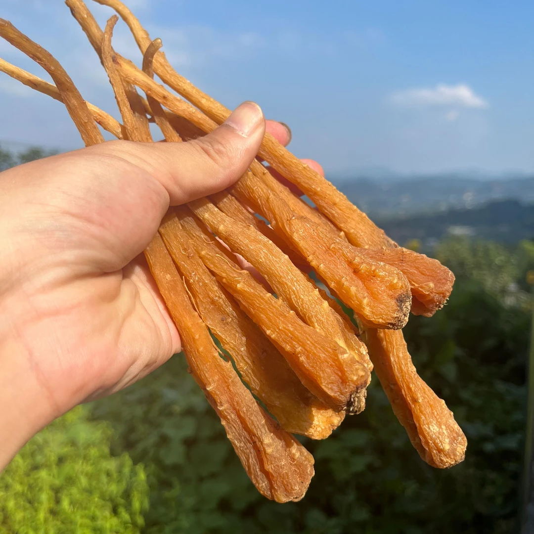 高山高海拔精选【藏雪参】林隐先生专属