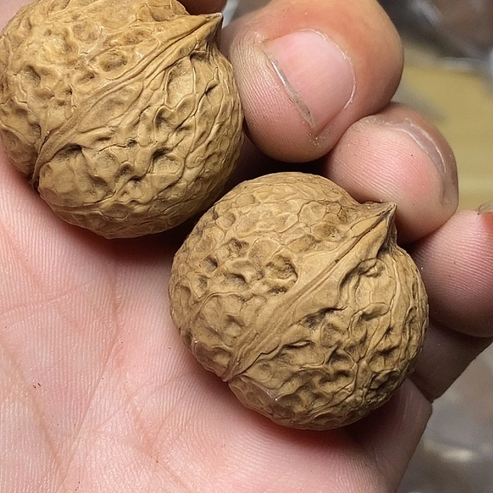 文玩核桃把件云南铁核桃A76