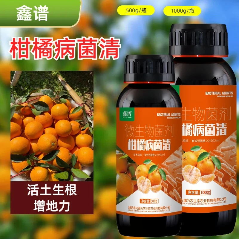 鑫谱柑橘病菌清复合微生物菌剂柑橘梨树苹果果树专用叶面肥料