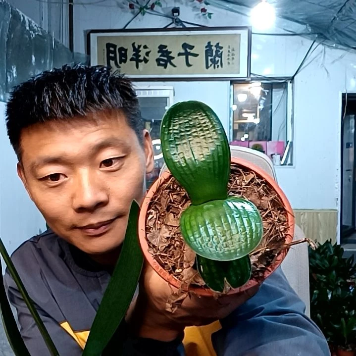 @半杯清茶69元一代天骄