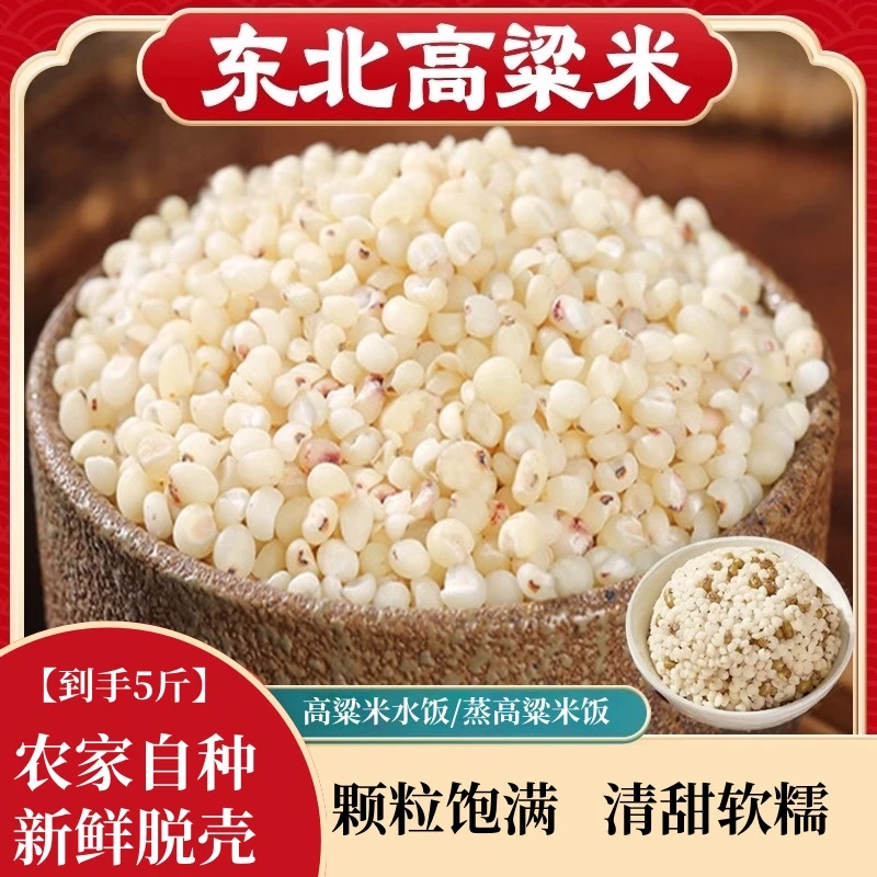 【到手5斤】东北白高粱米粗粮当季新米颗粒饱满米香浓郁五谷杂粮饭