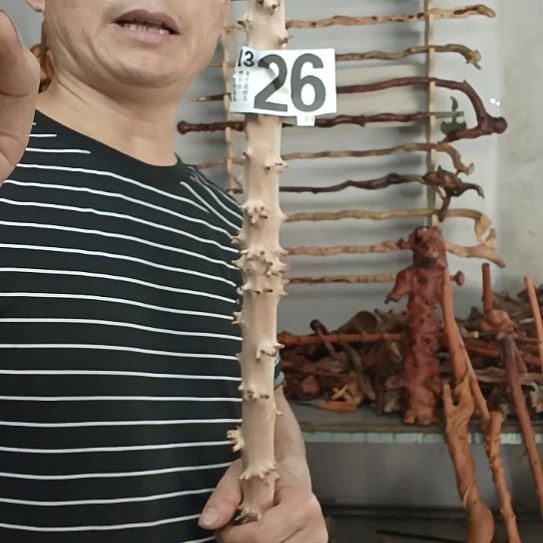 倾***落香榧木高山 檬子木文玩料