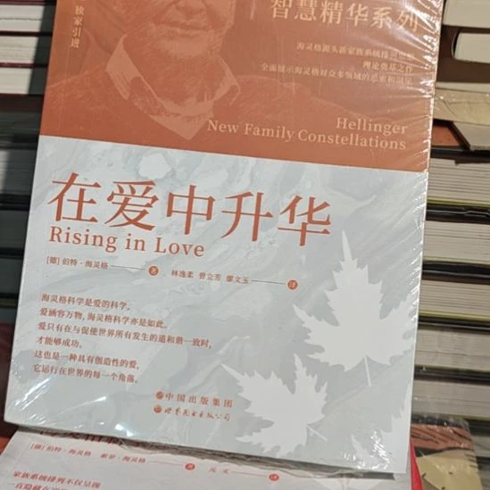 在爱中升华平装库存书