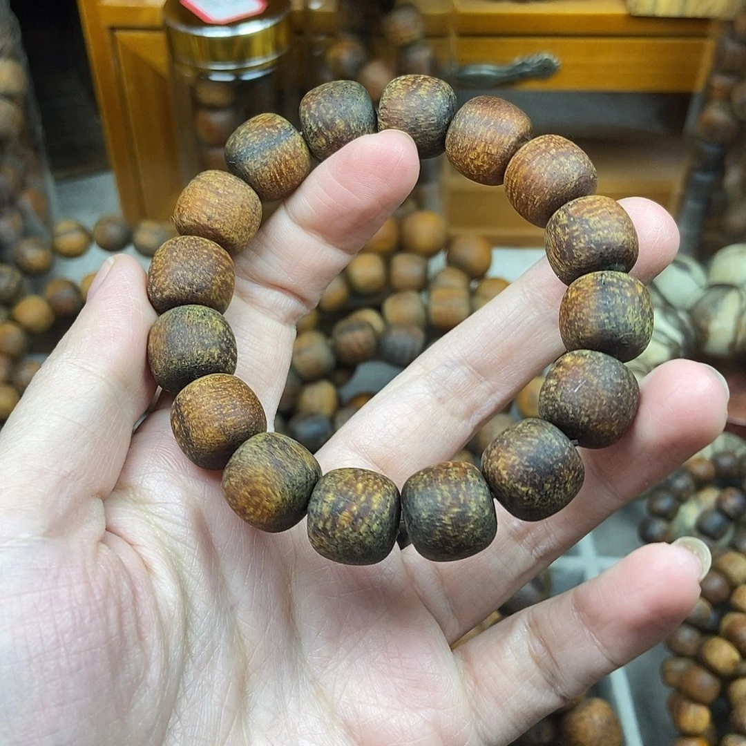 看***海贡木贡木贡木贡木