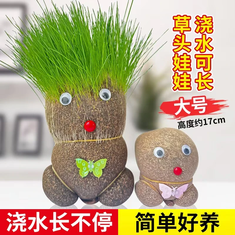 【加大款】草头娃娃DIY长草娃娃网红同款创意盆栽绿植水培植物