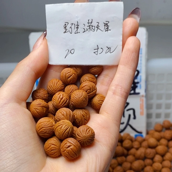 手串桃核11mm左右野生满天星20颗（打孔）