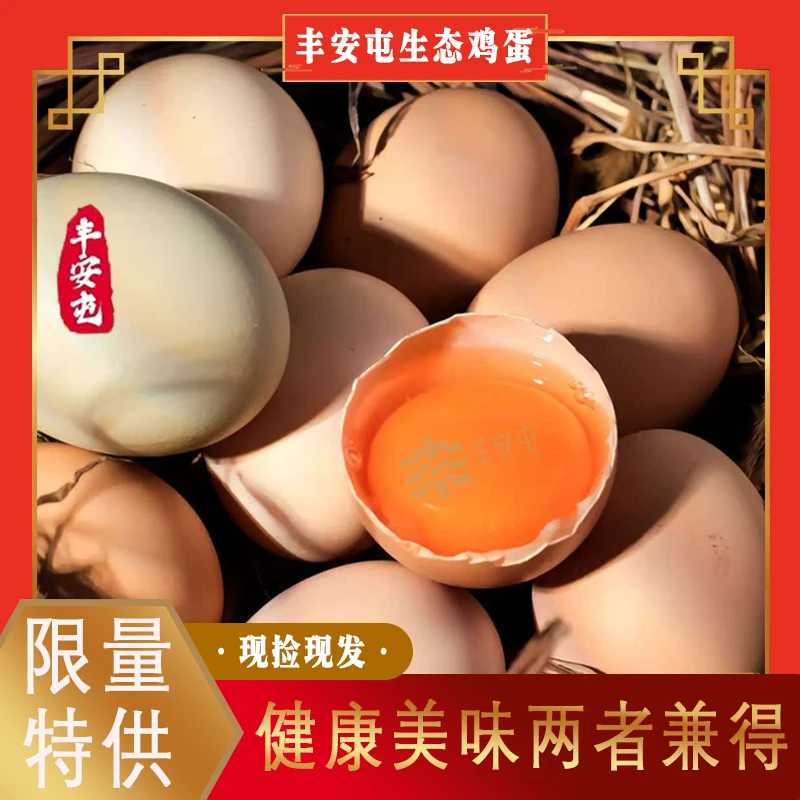 【丰安屯】正宗散养生态枣林走地鸡现捡现发新鲜绿壳粉壳鸡蛋