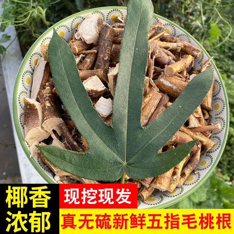深山农家新鲜湿五指毛桃根无硫营养美味椰香煲汤煮水食材250/500g
