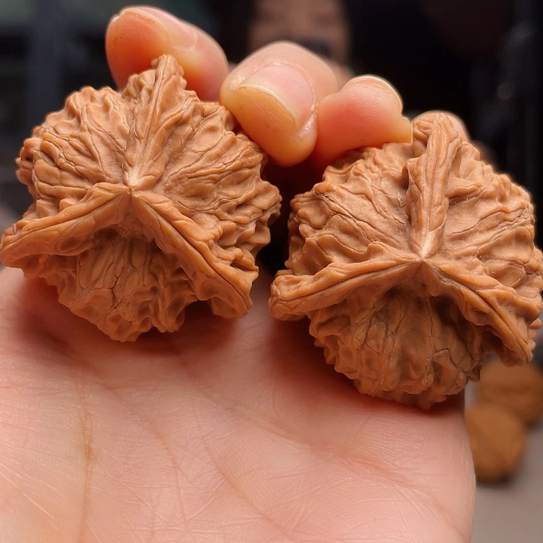 三棱68.8疆我要被