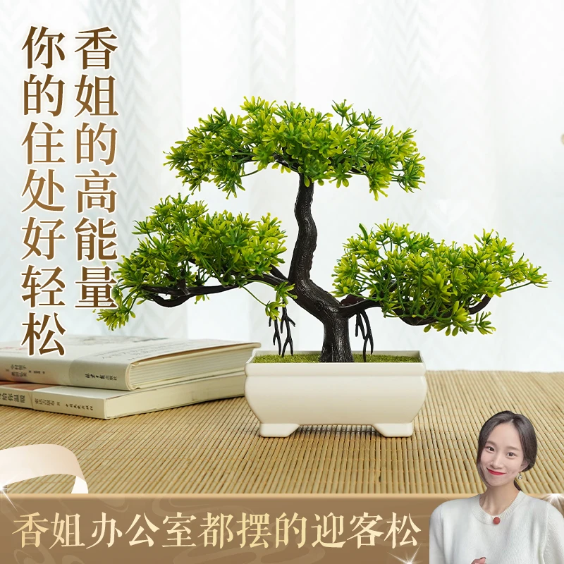 【香掌柜】仿真  迎客松盆景