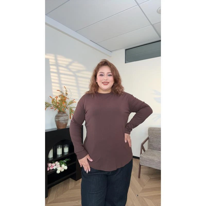 AHLIMA大码女装2025推荐款半高领圆领T恤长袖老钱风常规款女士