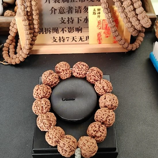 手串金刚菩提4号原生态双龙