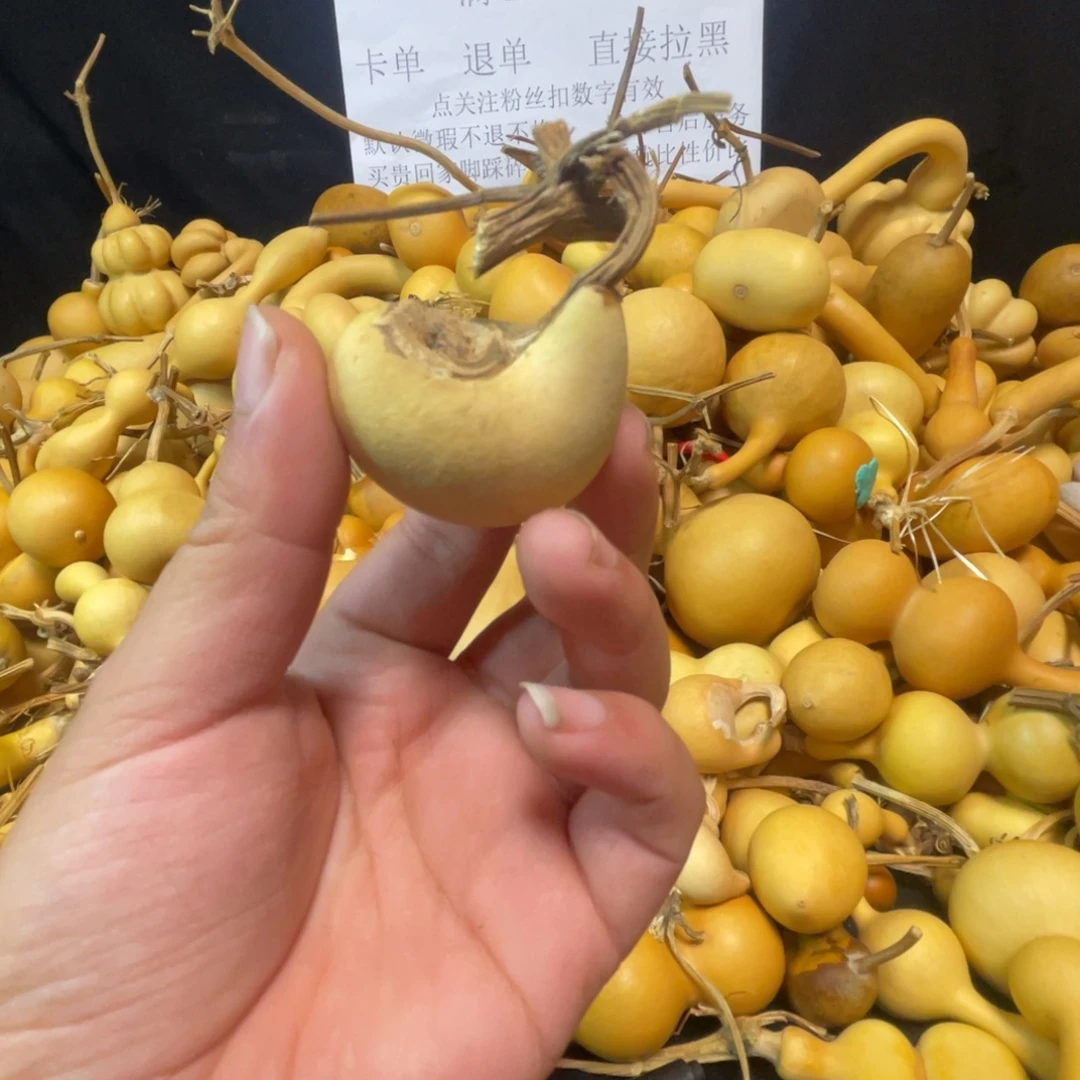 廊***处6666666666666666