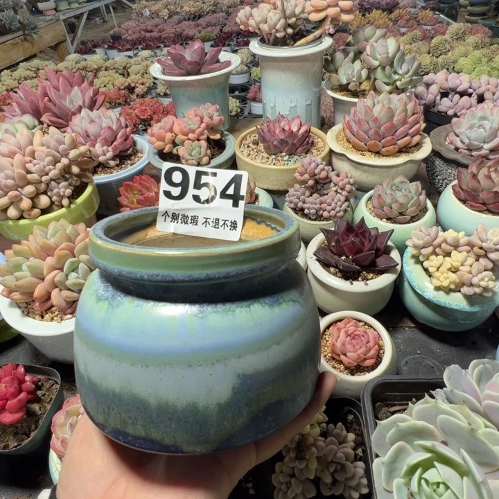 特价花盆 满50发货 内口8