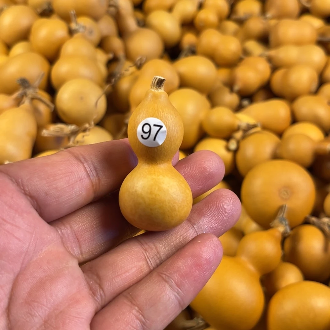 一个葫芦葫芦葫芦葫芦97