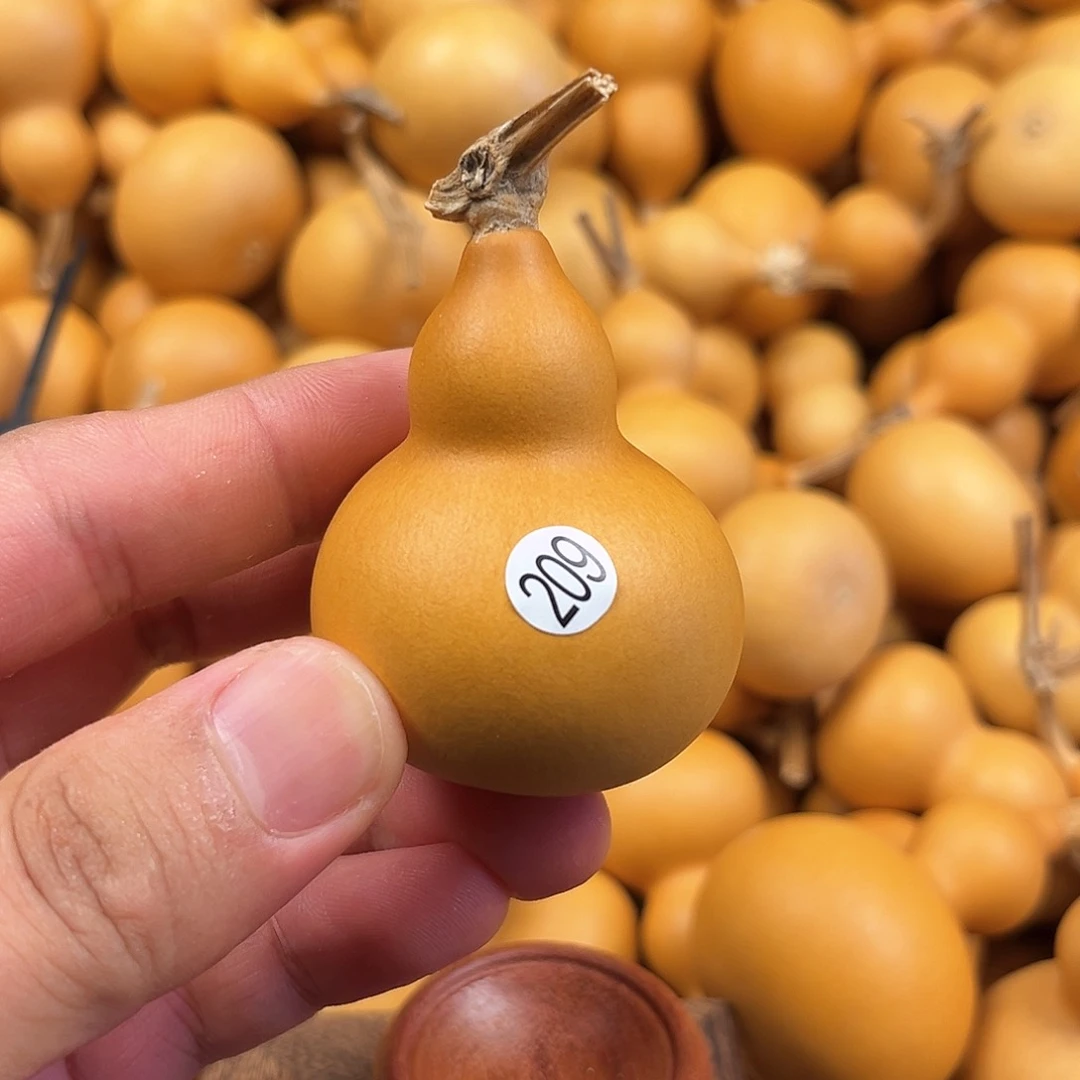 三葫芦葫芦葫芦葫芦209