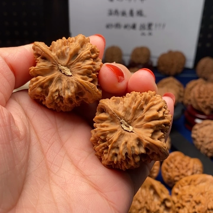 核桃39尺凹底满天星全品