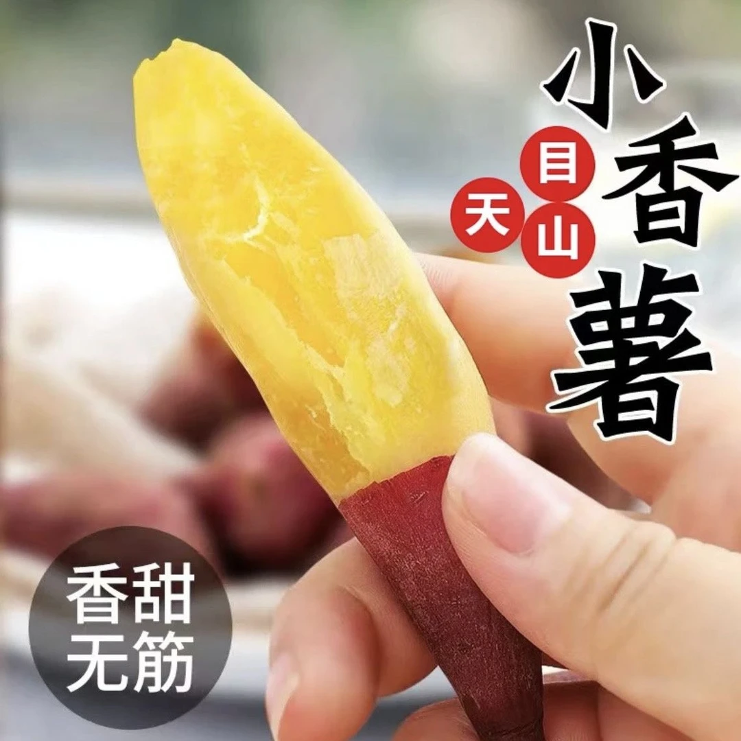新鲜板栗红薯临安天目山宝宝辅食小香薯圆圆鸡蛋番薯农家地瓜山芋