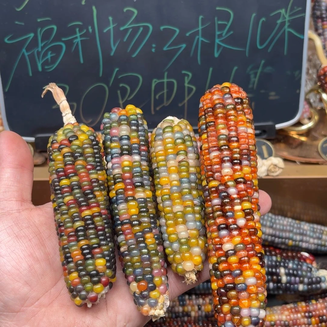 柏香籽/百香籽吊坠Y****.