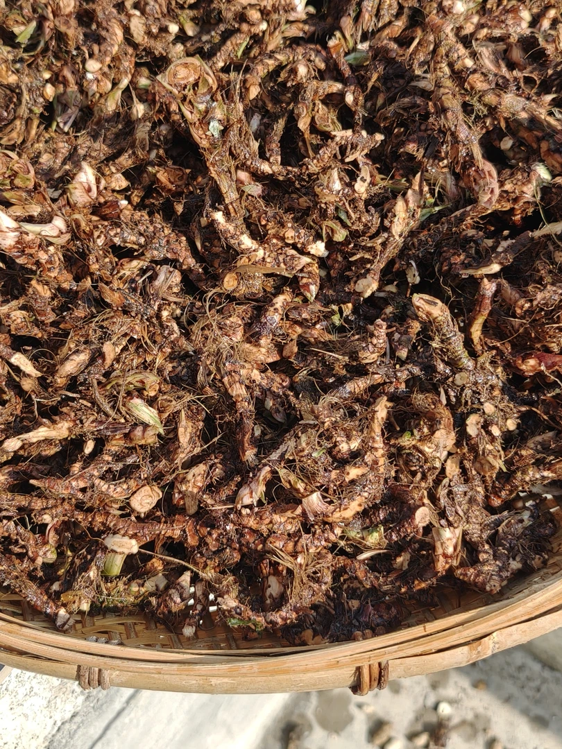 农家湘西野生菖蒲石70克泡茶煮汤无熏无硫中药材