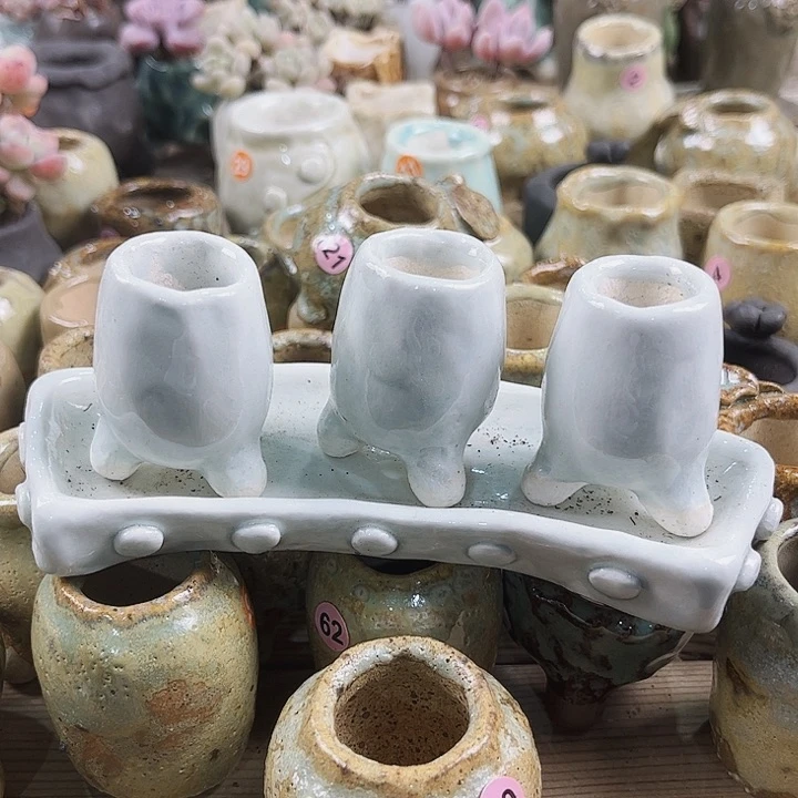 冬*寄养密密麻麻买买买