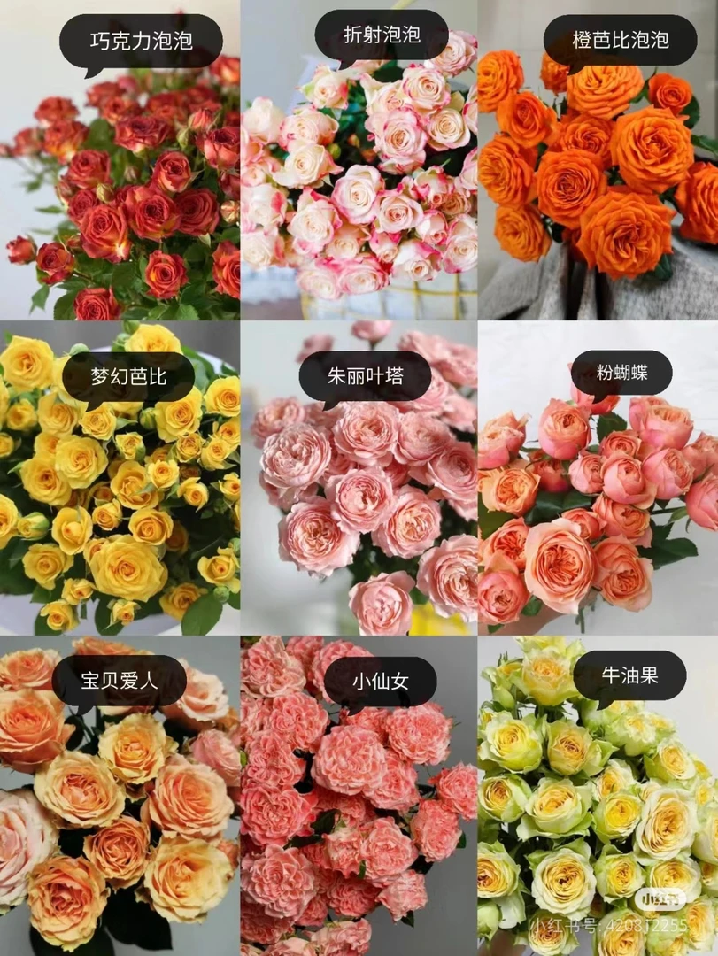 【野兽的花】多头玫瑰惊喜盲盒鲜花直发全场包邮